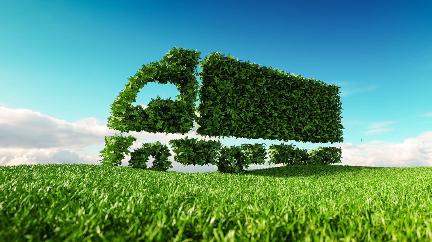 Leaf Truck Petmal Getty