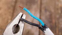 68754540 Piotr Wytr Ek Dreamstime 1 620bac2c54b83 68754540 Piotr Wytr Ek Dreamstime 1 620bac2c54b83