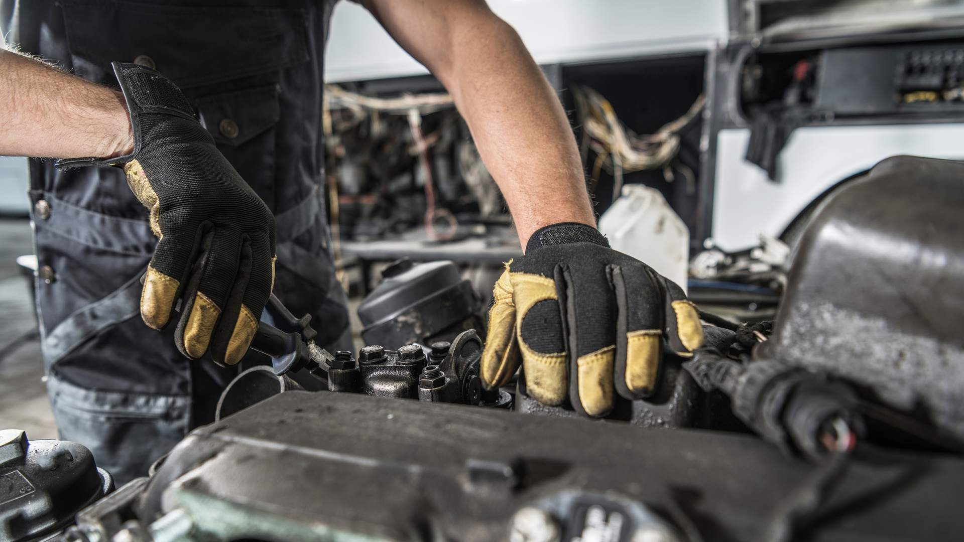 198136778 Welcomia Dreamstime 629dfbf3aa754