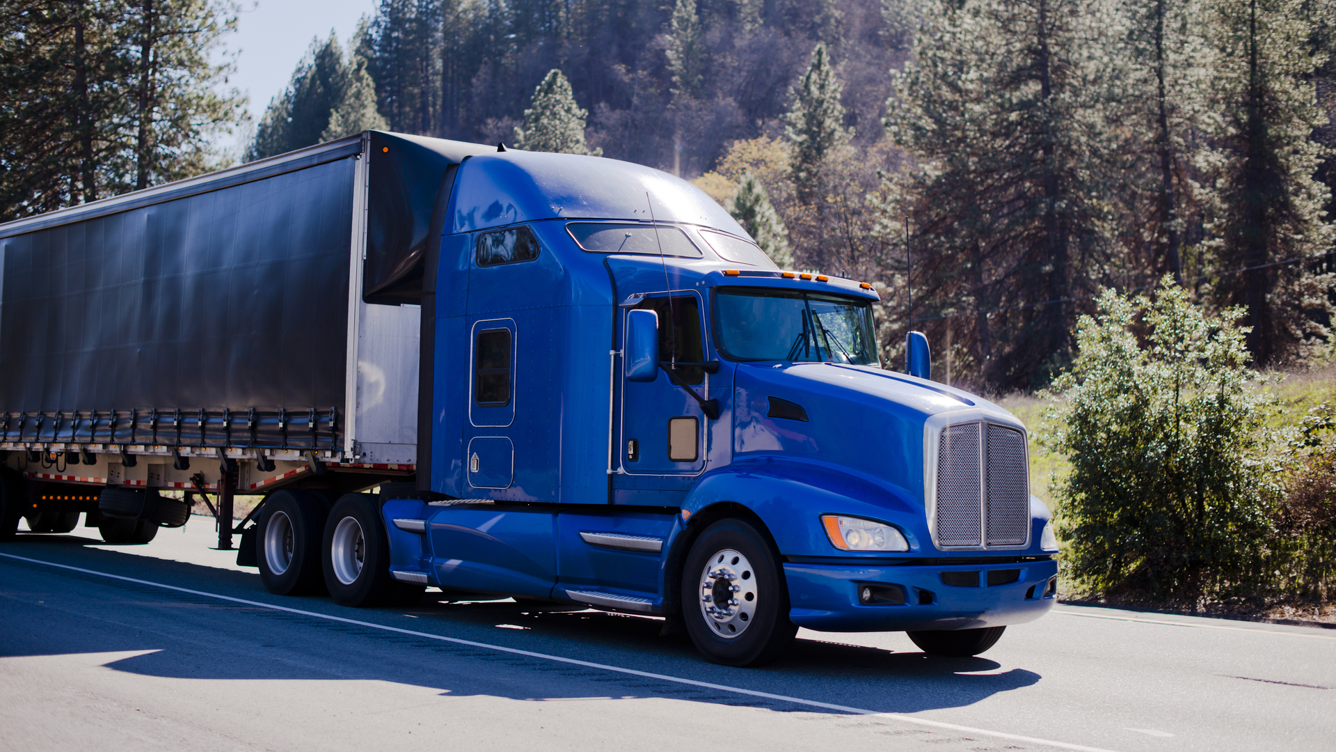 Dreamstime Vitpho 56873708 639b39f09adff 63a0bdf174425