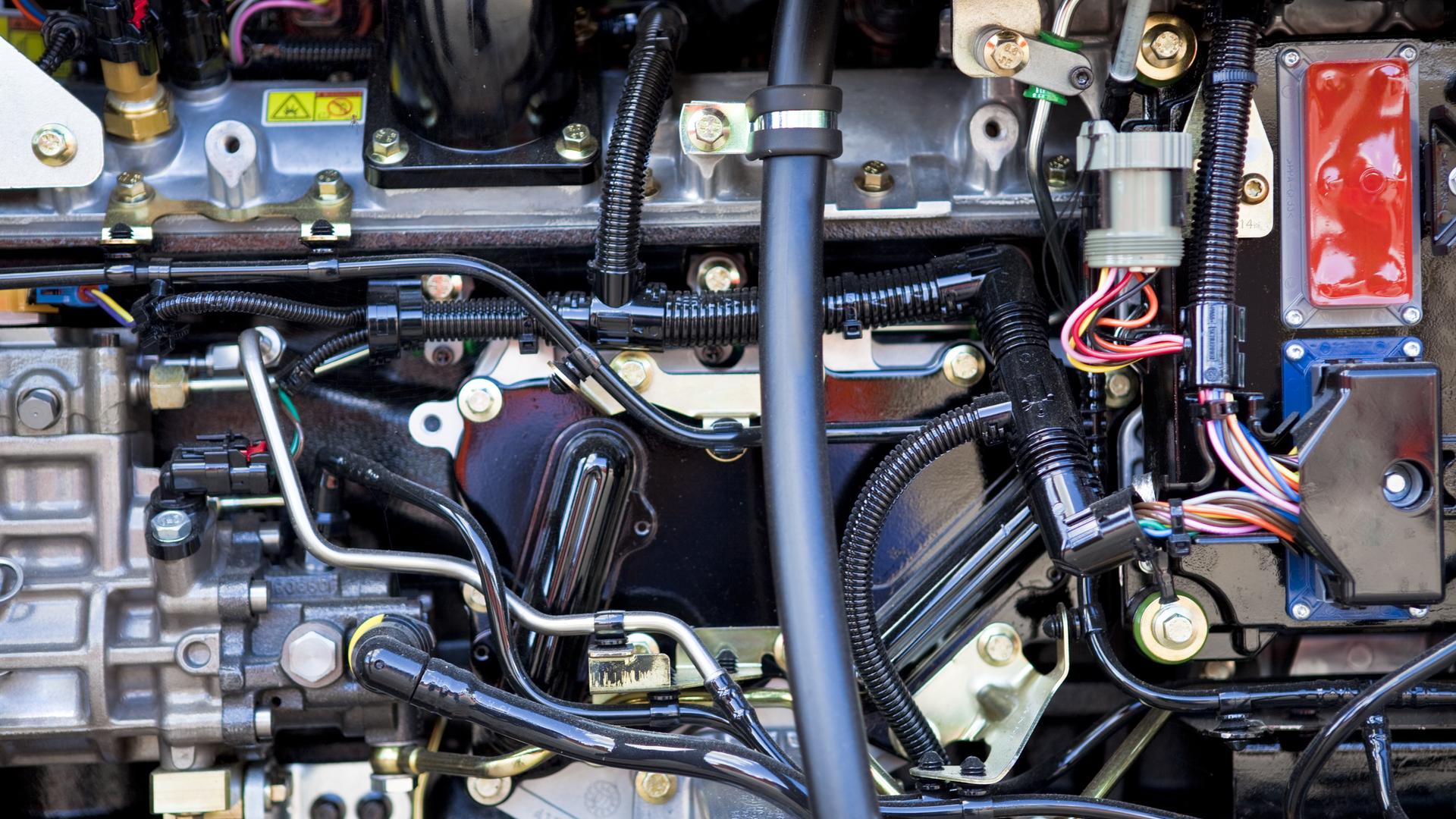 Dreamstime L 10820725