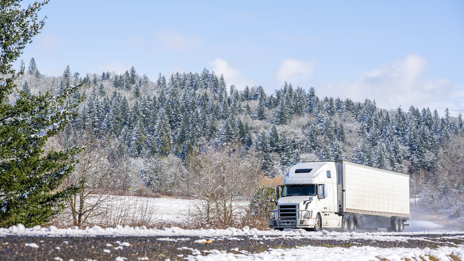 Dreamstime L 138879146