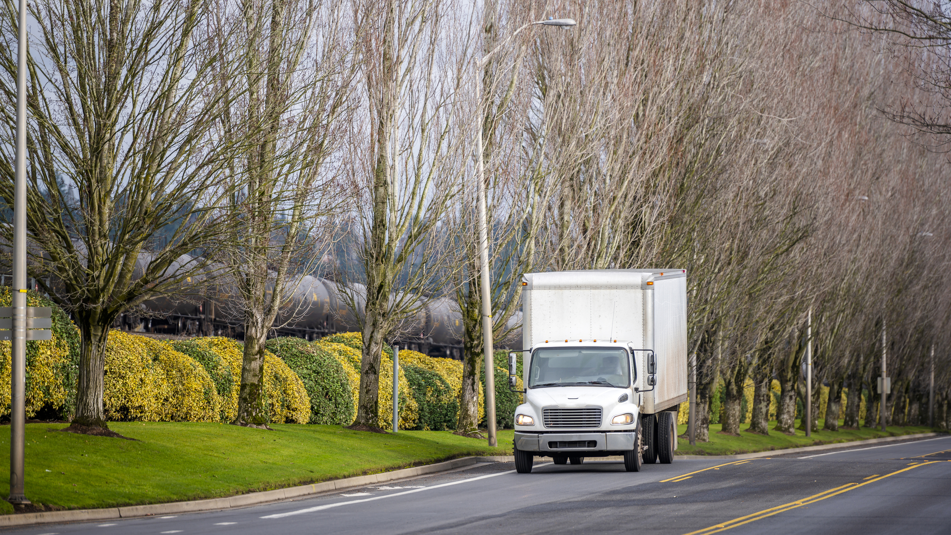 Dreamstime L 137888985 647a1e9d02e2f