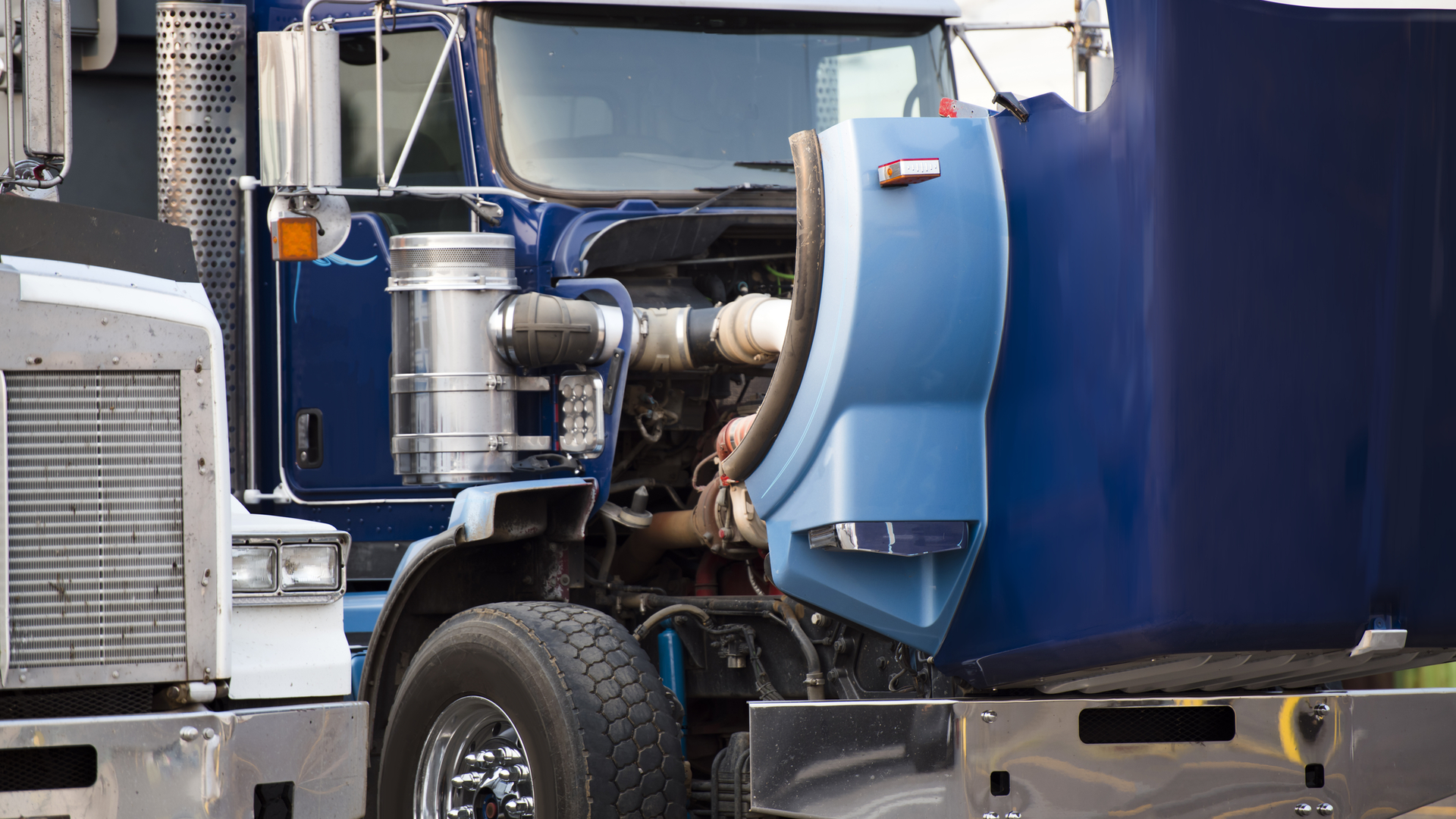 Dreamstime M 137887770 6516cb9521e5c