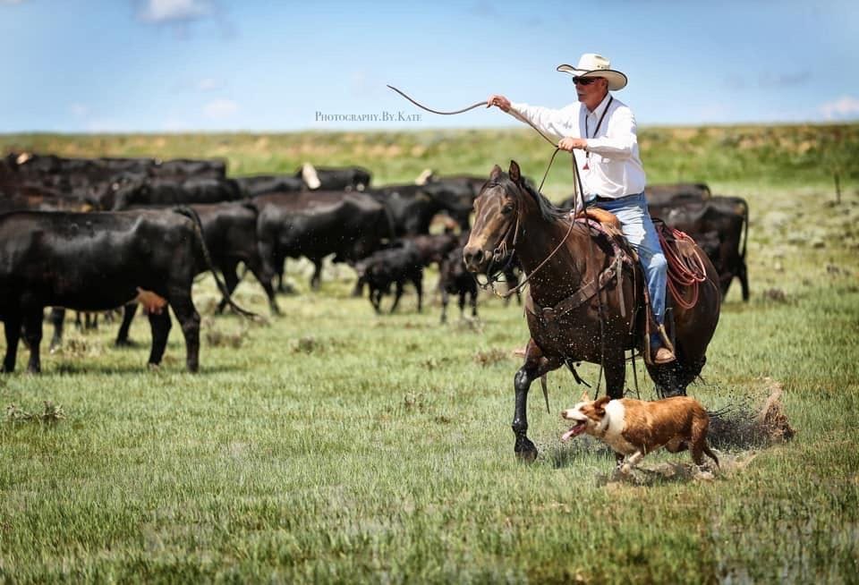 6543e711073e0b001e0b4729 Jimmathisontheranch