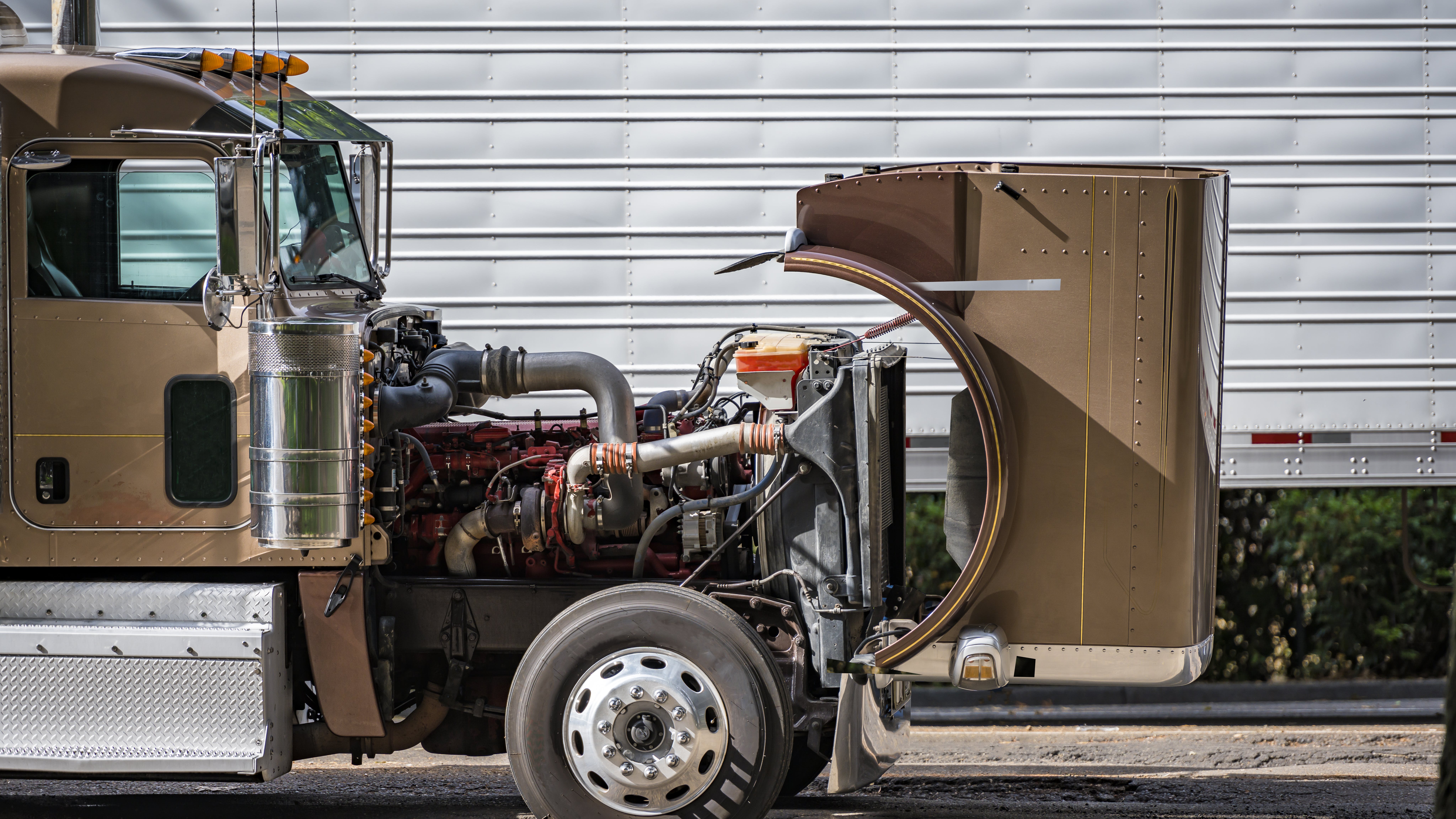 65caa9f14a2df0001e7f75db Dreamstime Xxl 202349214