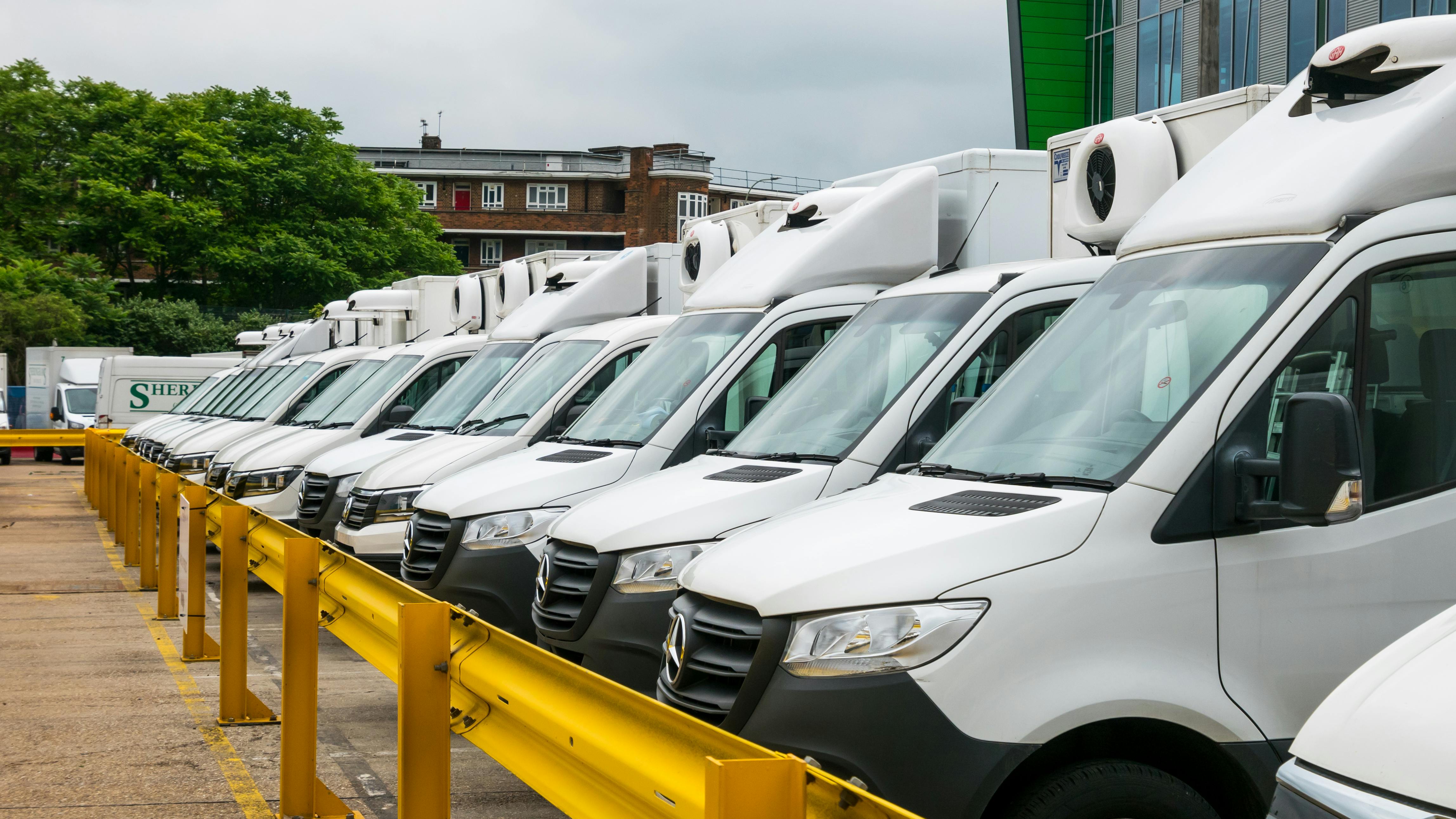 6616ad434cee6b001e6b39bd Dreamstime Xxl 223319272