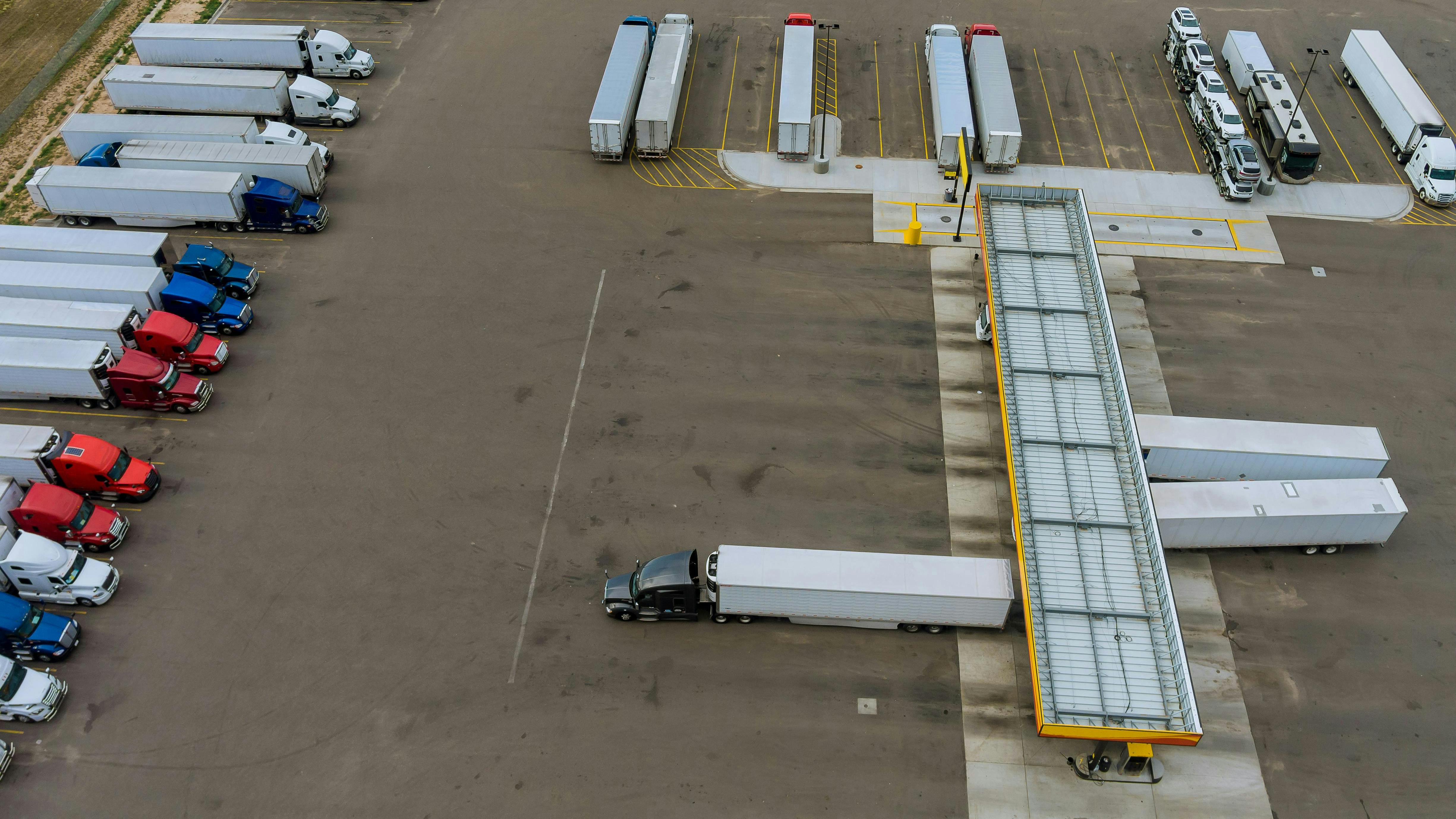 6671d888e2df14d151a91706 Dreamstime Xxl 224101411