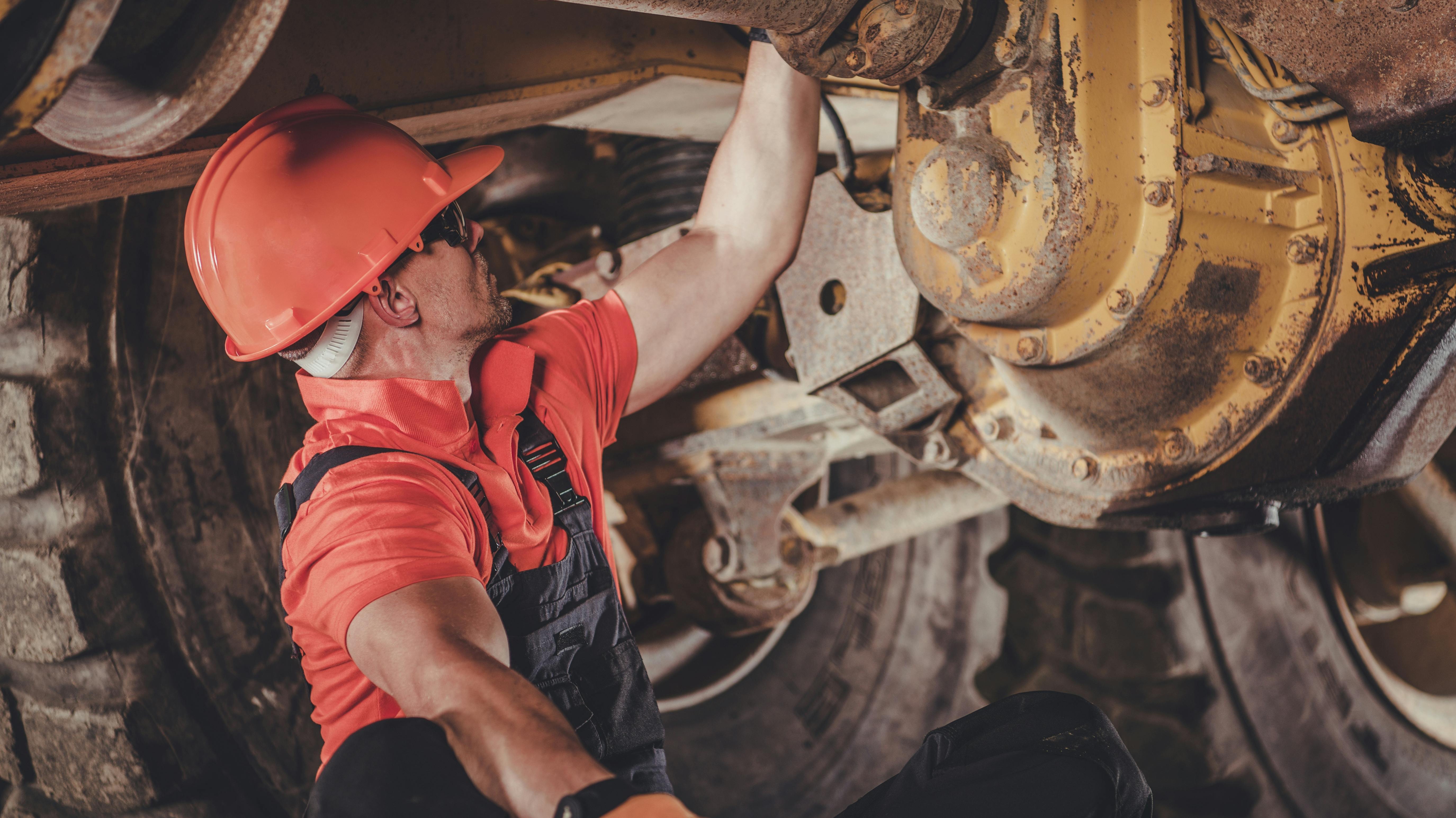 66b0e15dbb4775e1bc210477 Dreamstime Xxl 149289986