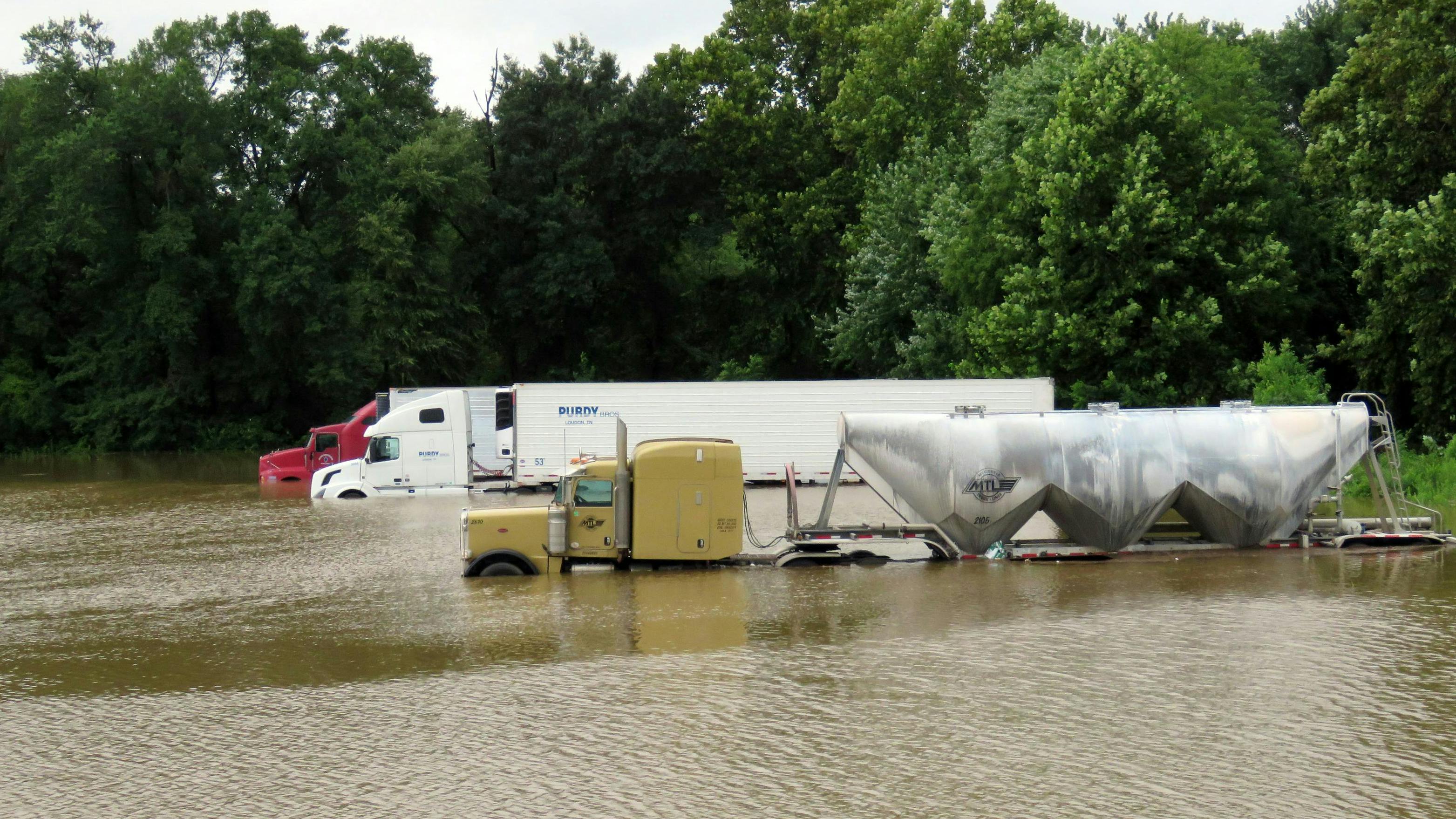 dreamstime_xl_99058373