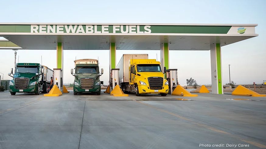 66e1dd4509e8cef5e9dca2a4 Dairycaresphotowithcredit