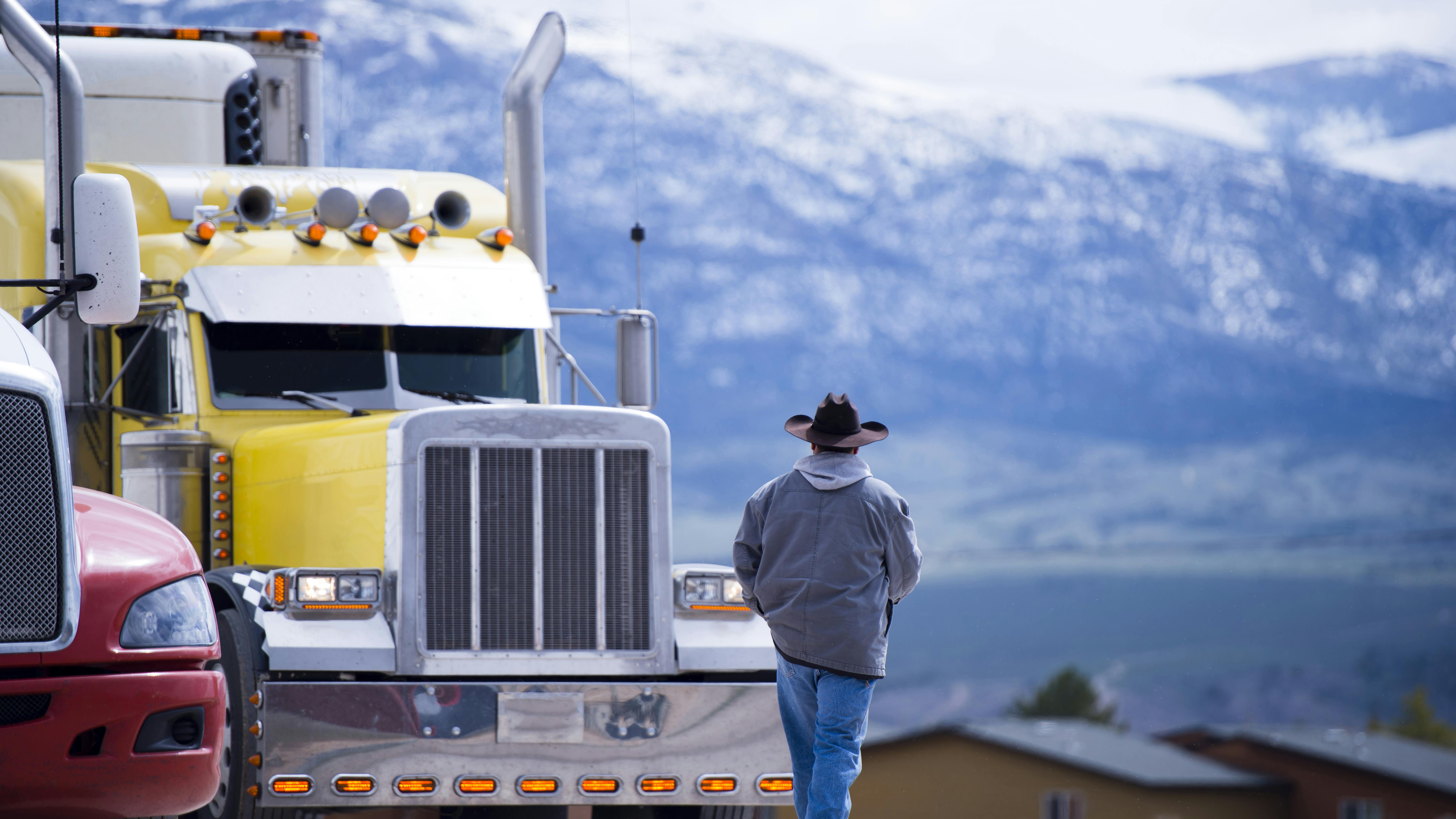 66fc08239ff003c3a490f2ed Dreamstime Xxl 72814907