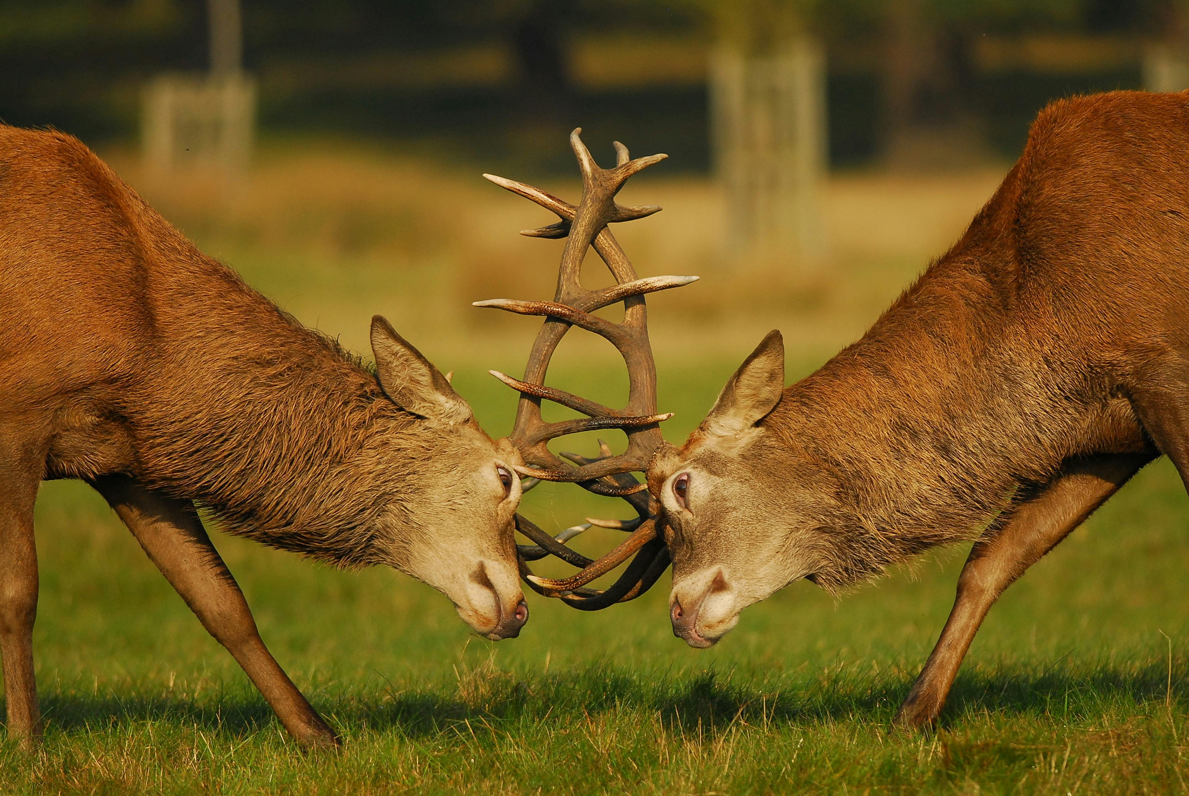 6705465446ab233ca1eddfd3 Dreamstime Xl 6778187