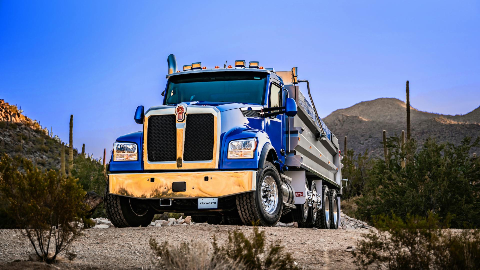 67d46182413ccf08e1a506c8 54365886946 432815ccea O