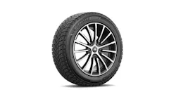 698214fa05966894199197f0 Xice 698214fa05966894199197f0 Xice