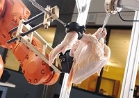 1660253948279 Poultry Deboning