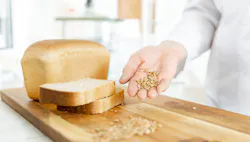 1660318236259 Bakerynovember 1660318236259 Bakerynovember