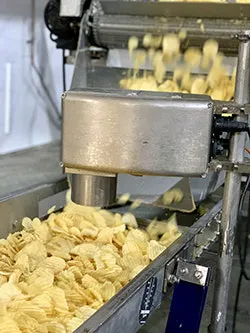 Potato-chips-MoistTech Potato-chips-MoistTech