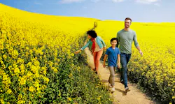 1660601274640 Dsmsunflowers 1660601274640 Dsmsunflowers