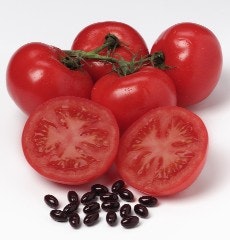 1663369963752 Lycored Tomatoes