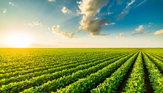 1663606594089 Fp2209soyleicpodhero