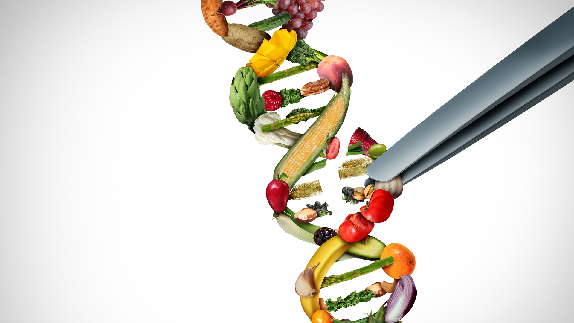 Gmo Dna