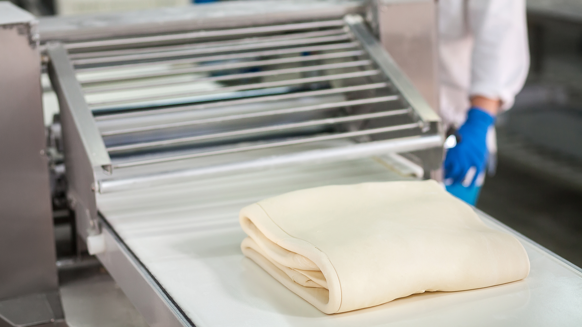 dough sheet on conveyor