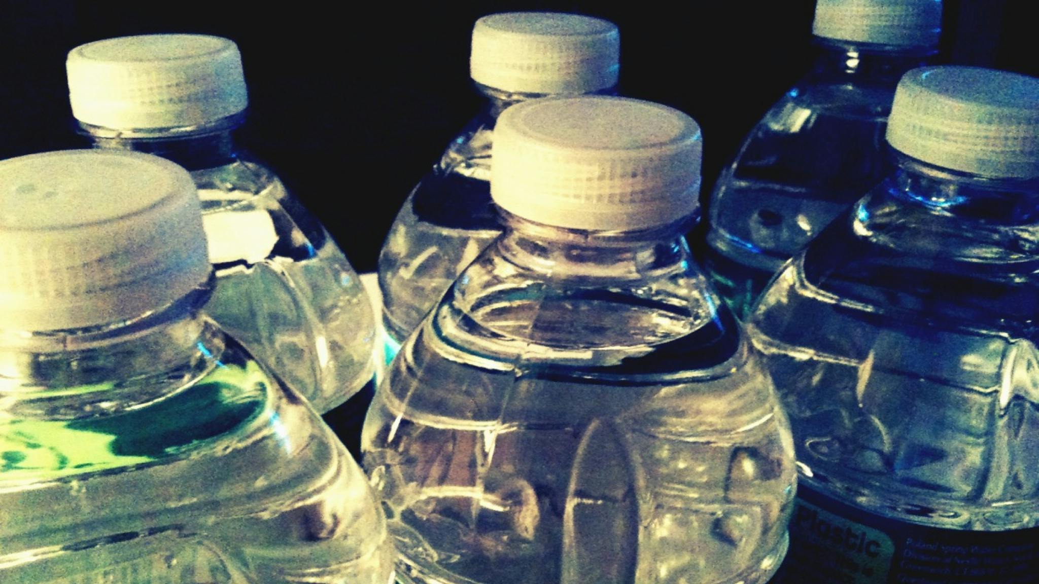 'Poland Spring'