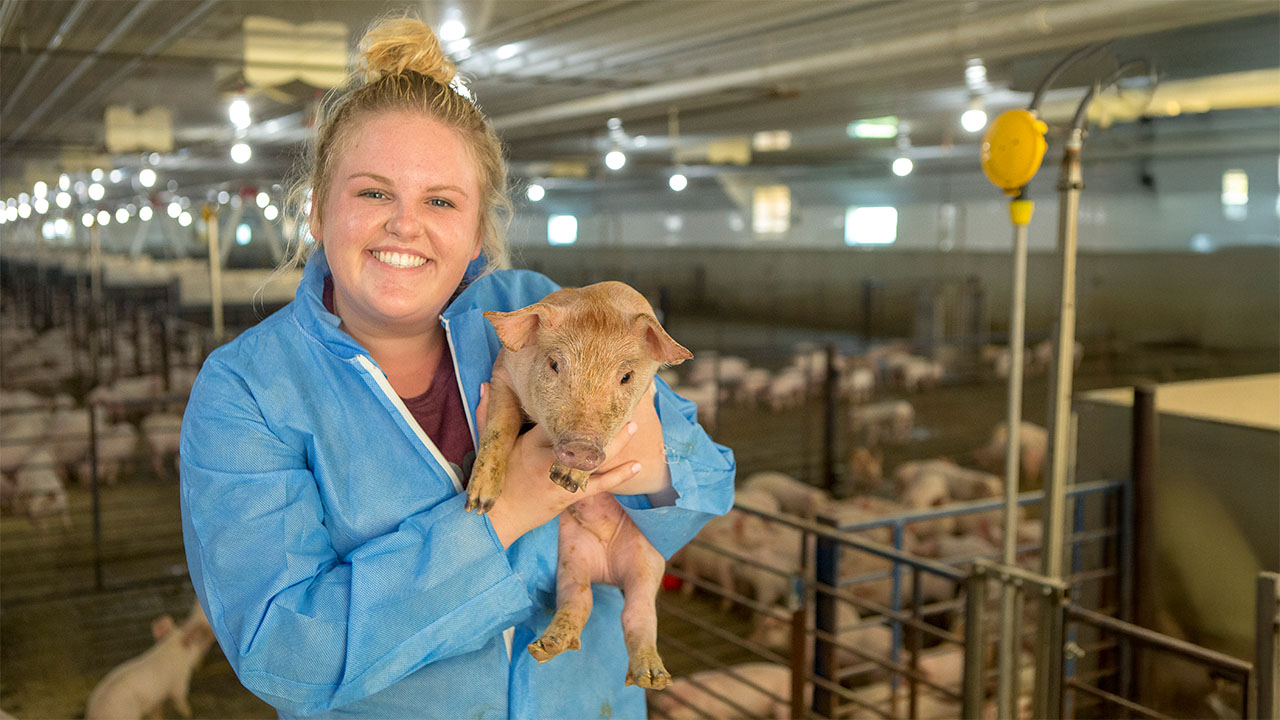 1097912668232190___wonderlysustainabilityad1280x72