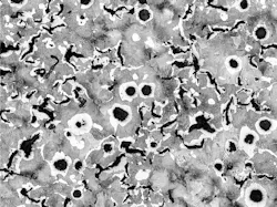 CGI micrograph CGI micrograph