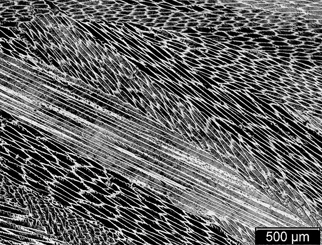 Cast CuMn Alloy micrograph