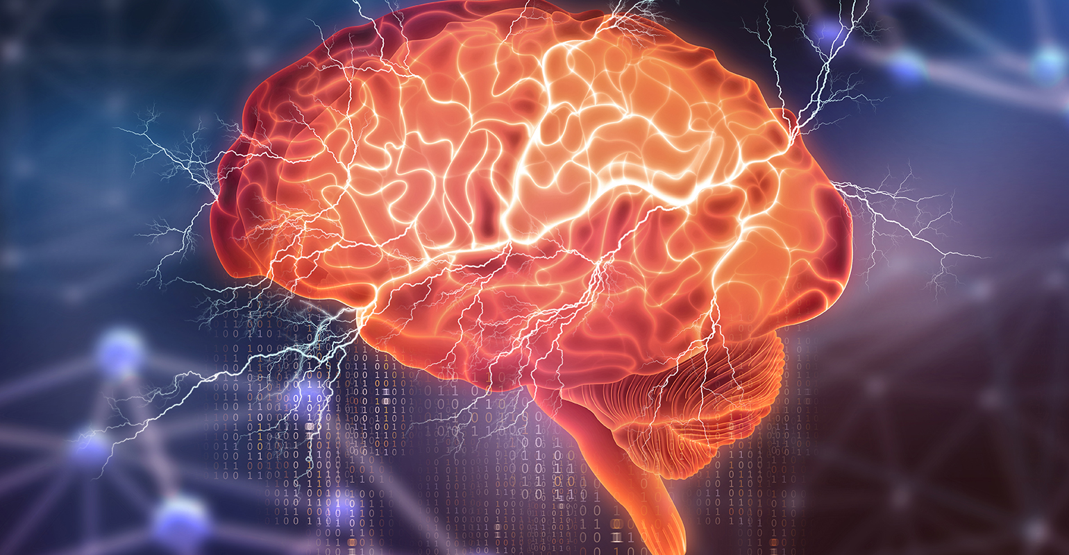 Dreamstime147685878 800 5fa8c69fe6906