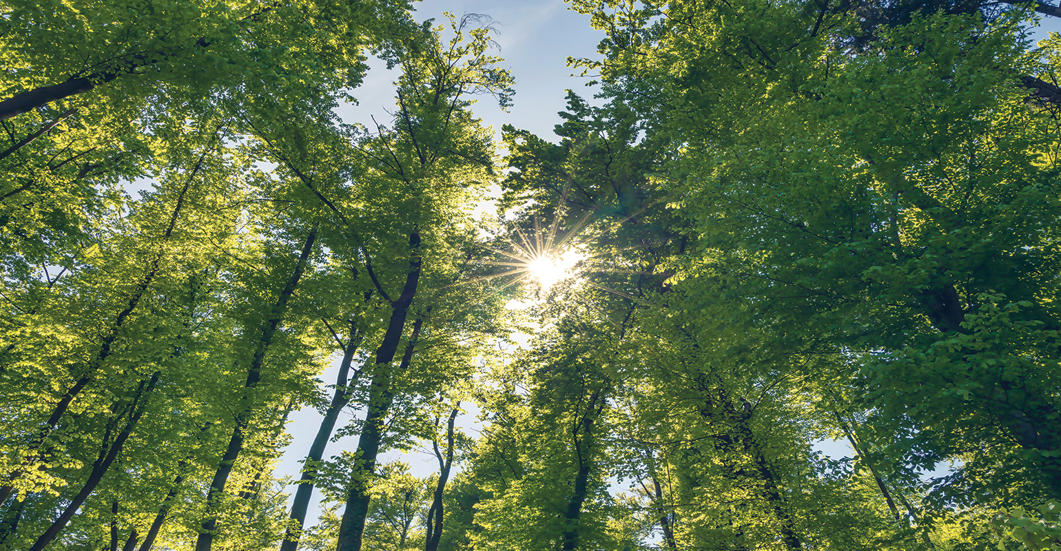 &ldquo;Sustainability&rdquo; has three components &ndash; ecology, economy, and society. Preserving natural resources is one factor foundries must consider.