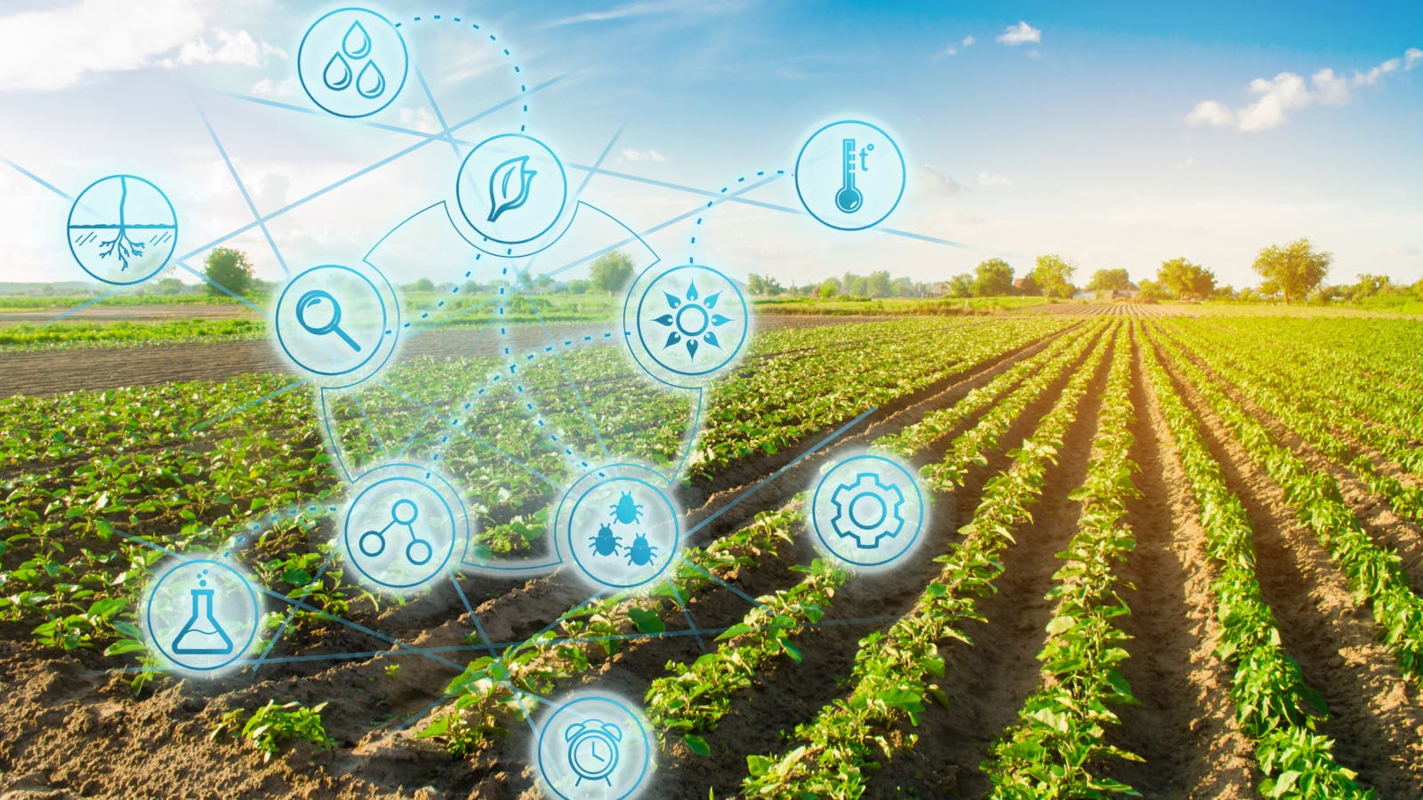 69418b362cc25628bf107662 Environmentaldigitalconceptid 127840045andriiyalan