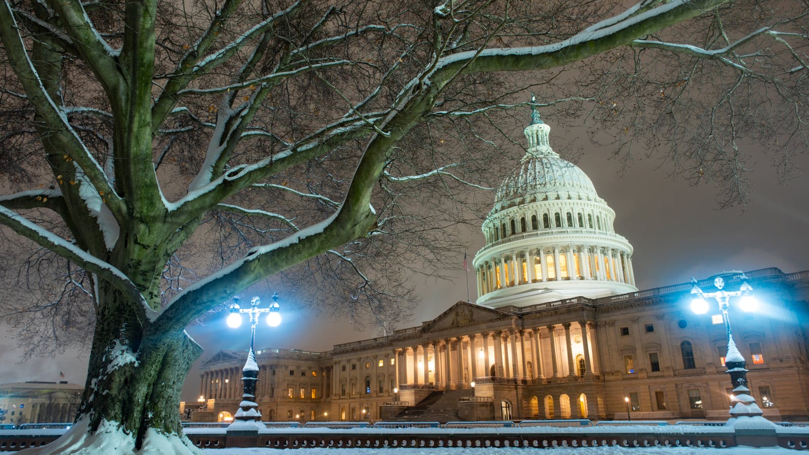 uscapitolwinter427421711volodymyr_tverdokhlibdream