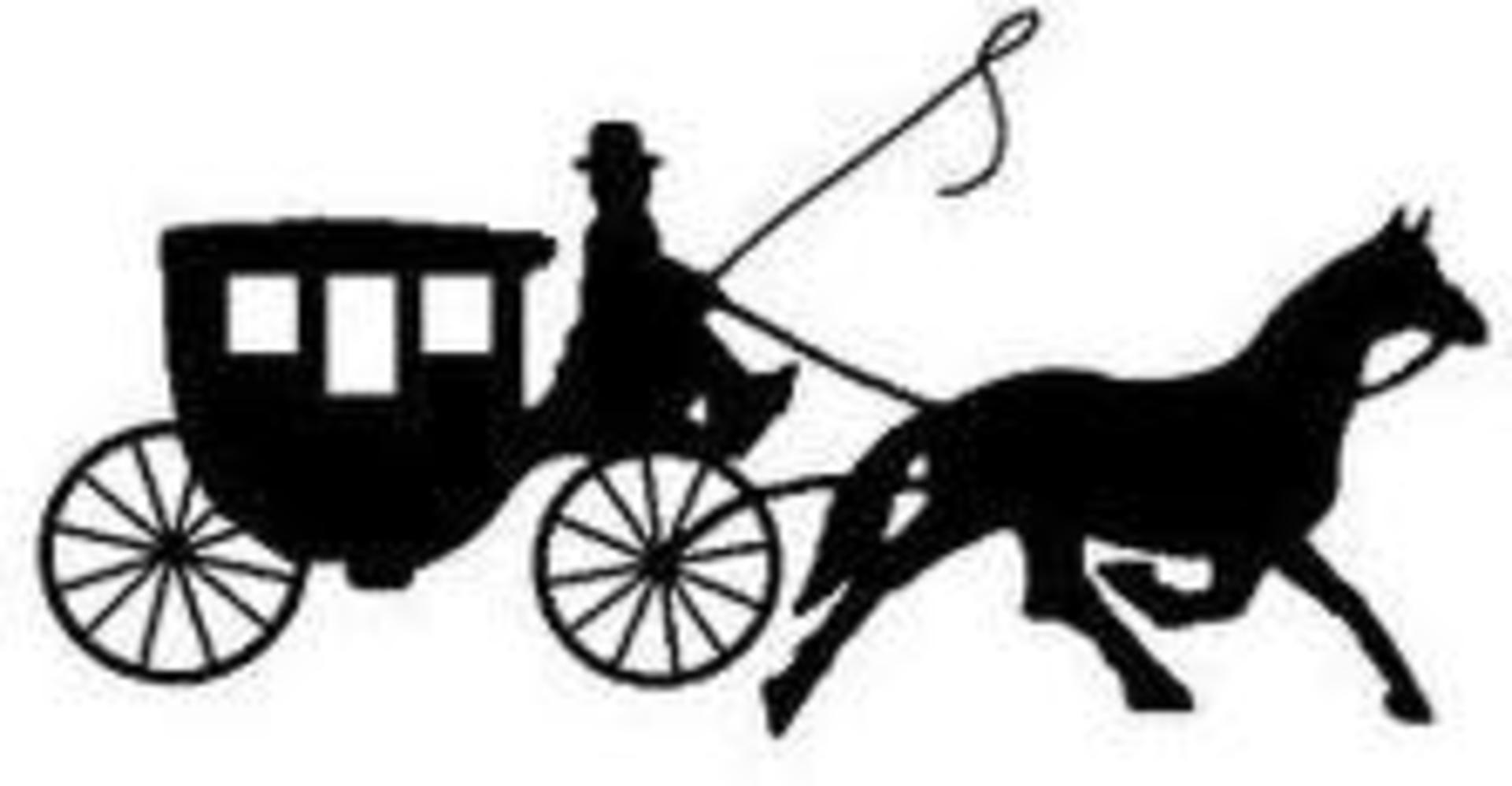 Buggywhip