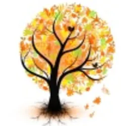 Autumntree1 Web Autumntree1 Web