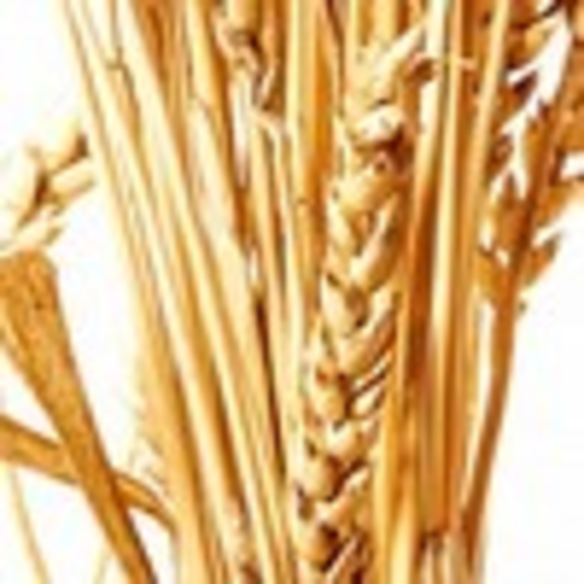 Bundled Payments Web 0 0