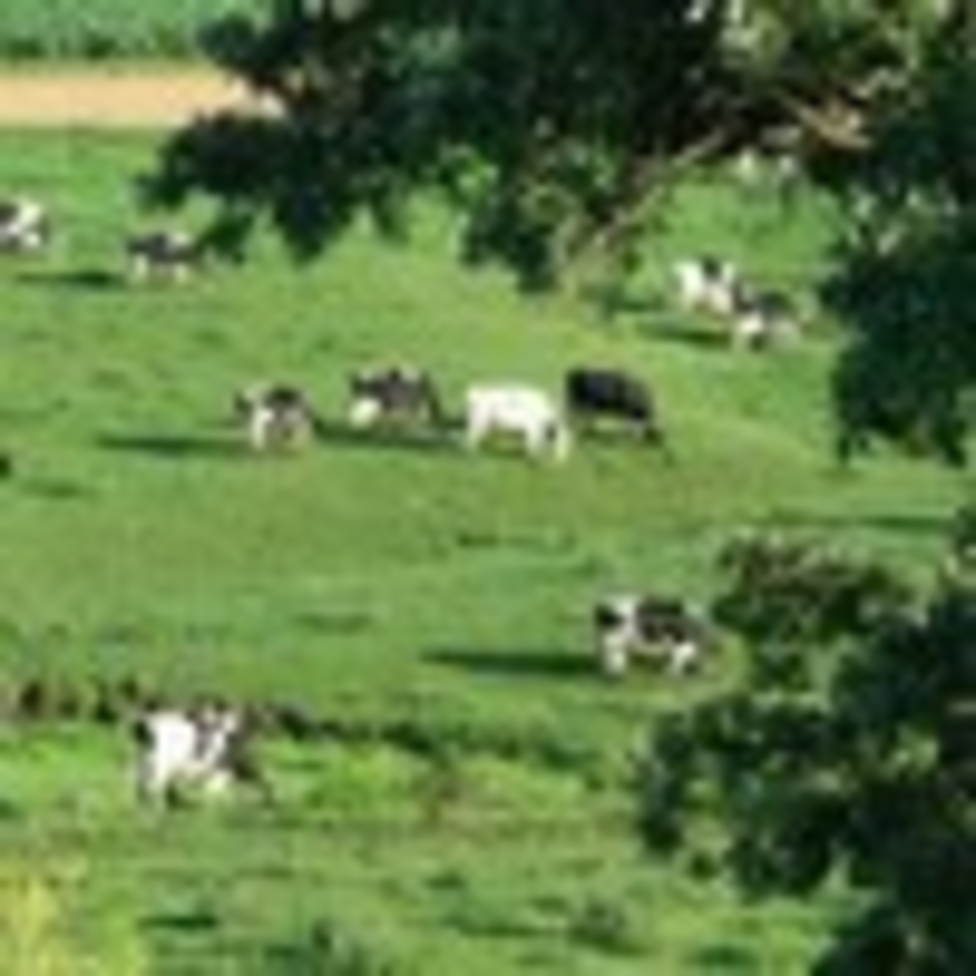 Wisconsin Health Information Exchange Web 0