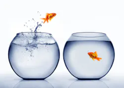 Fish Jump Fish Jump