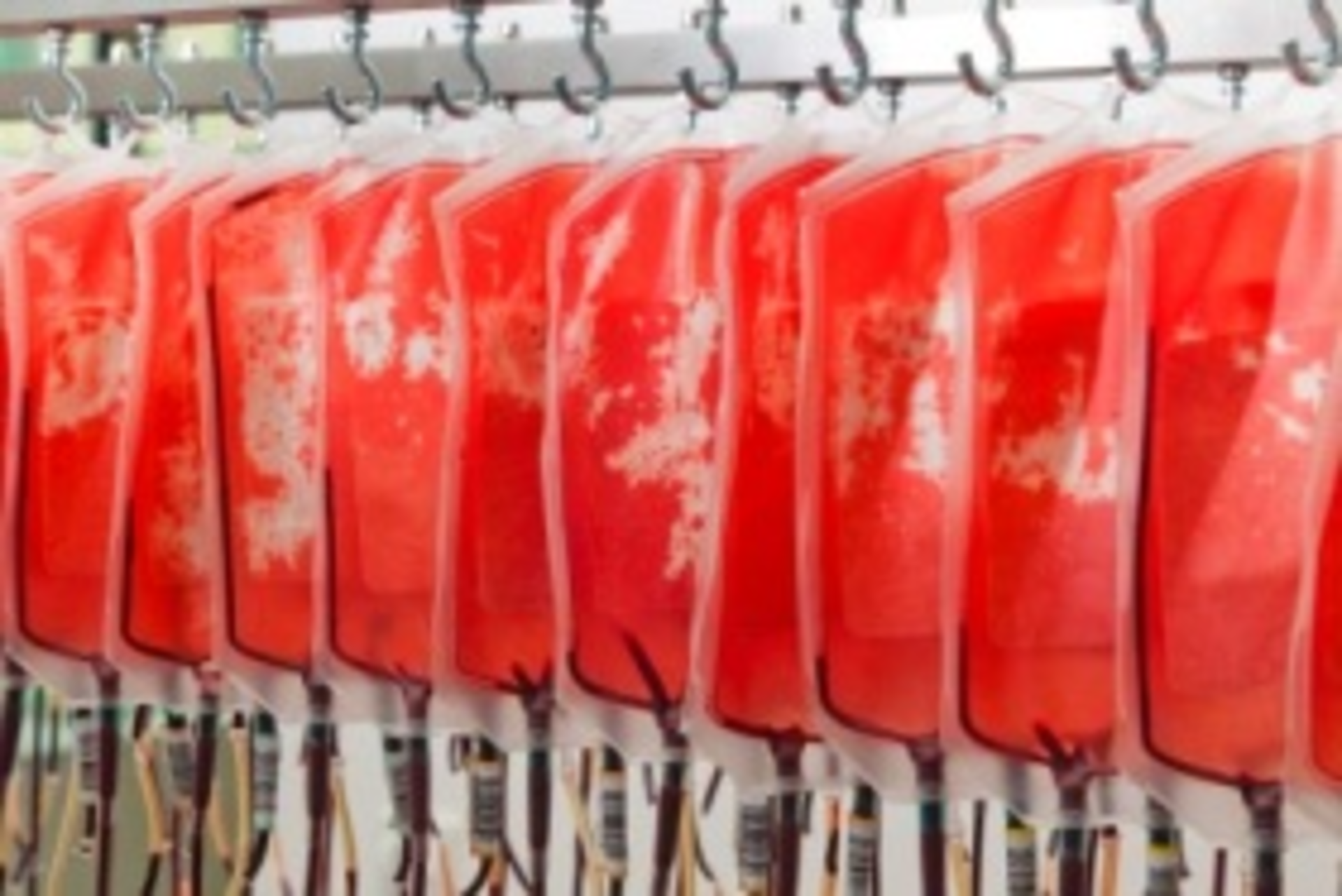 Bloodbags 9260408 Web