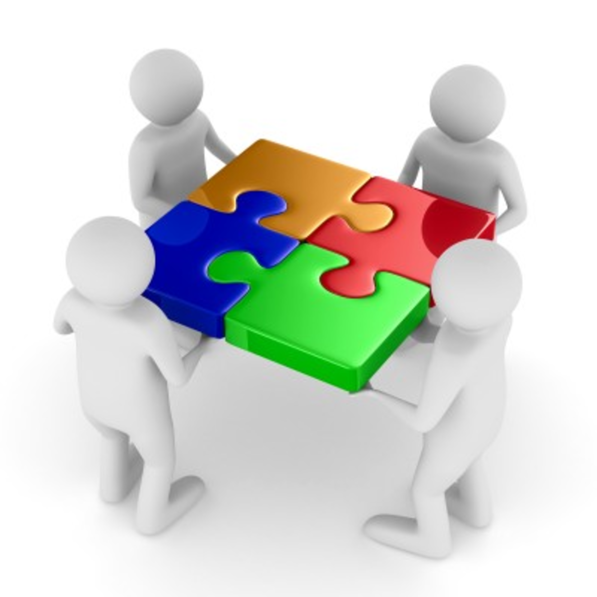 Chief Integration Officer