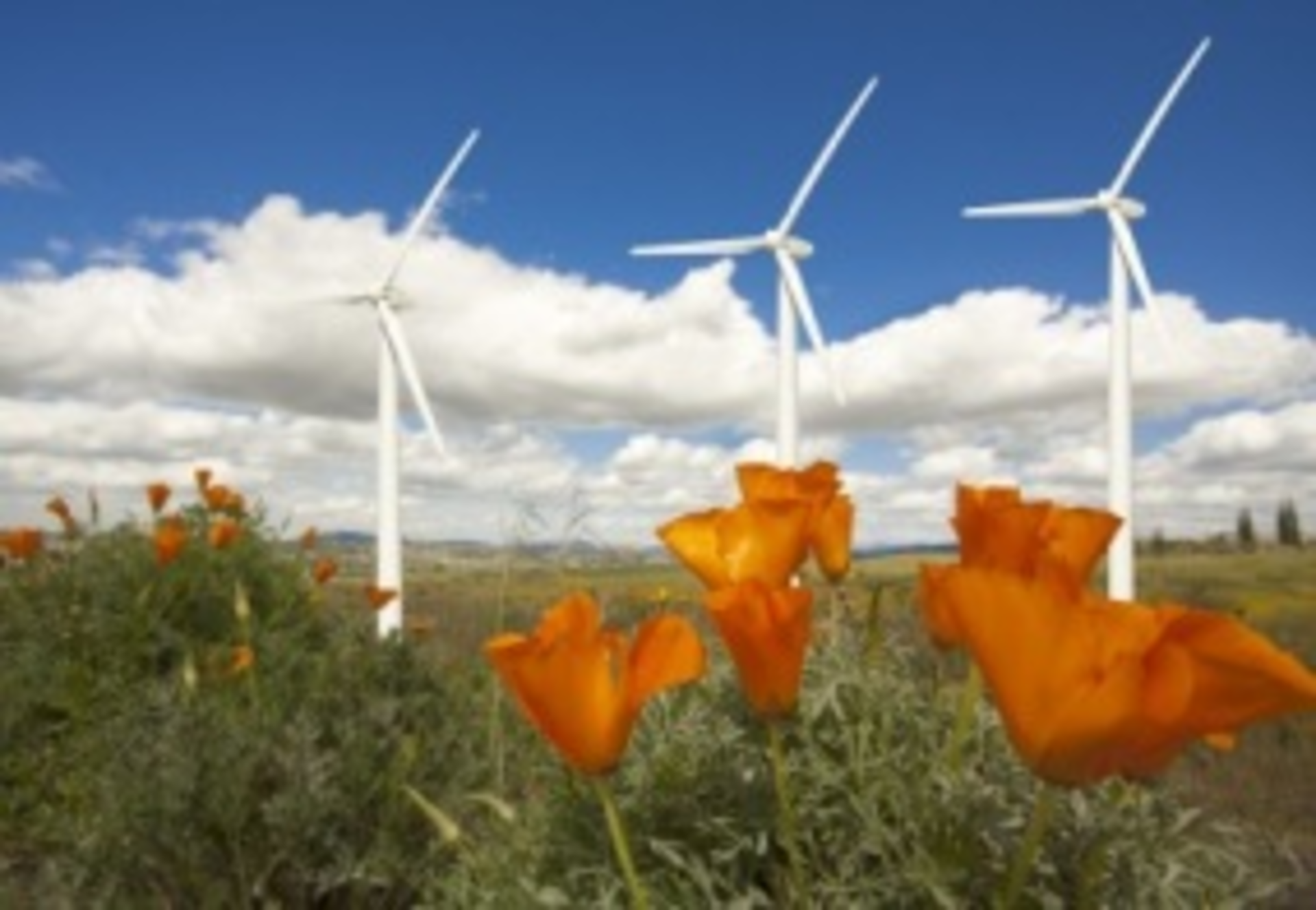Californiawindturbines 9169212 Smaller