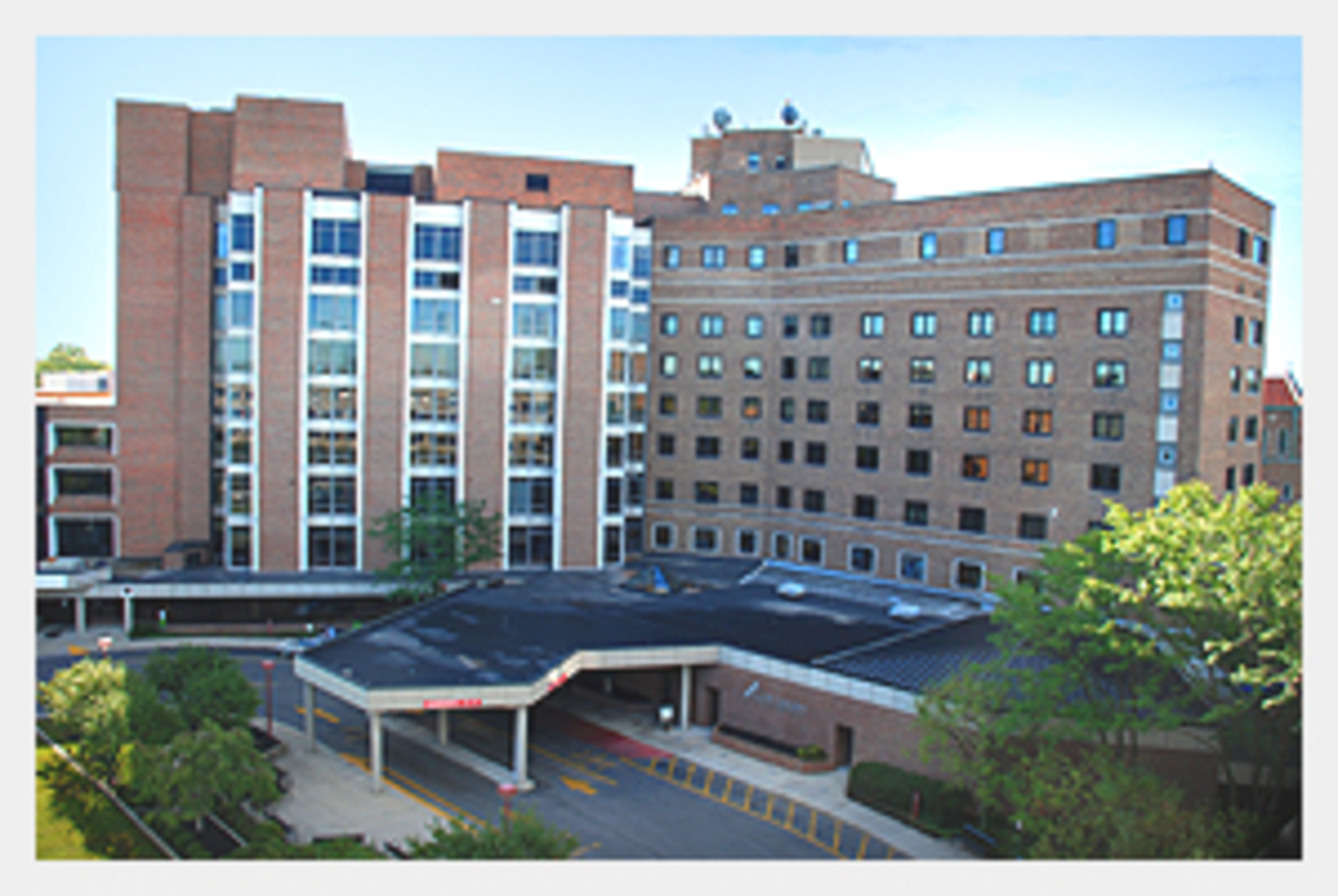 Mercystvincent1