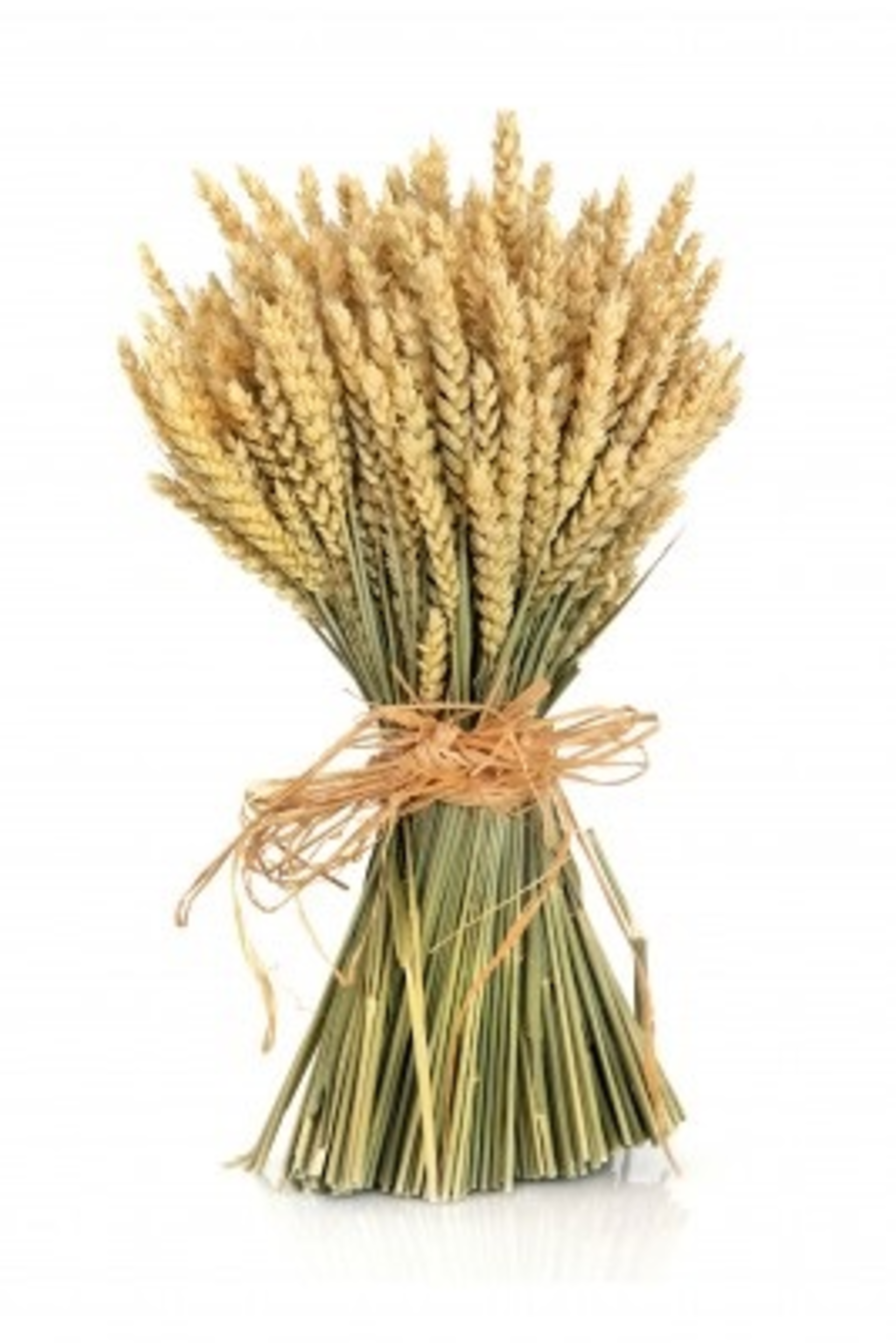 Wheatbundle 11241245 S