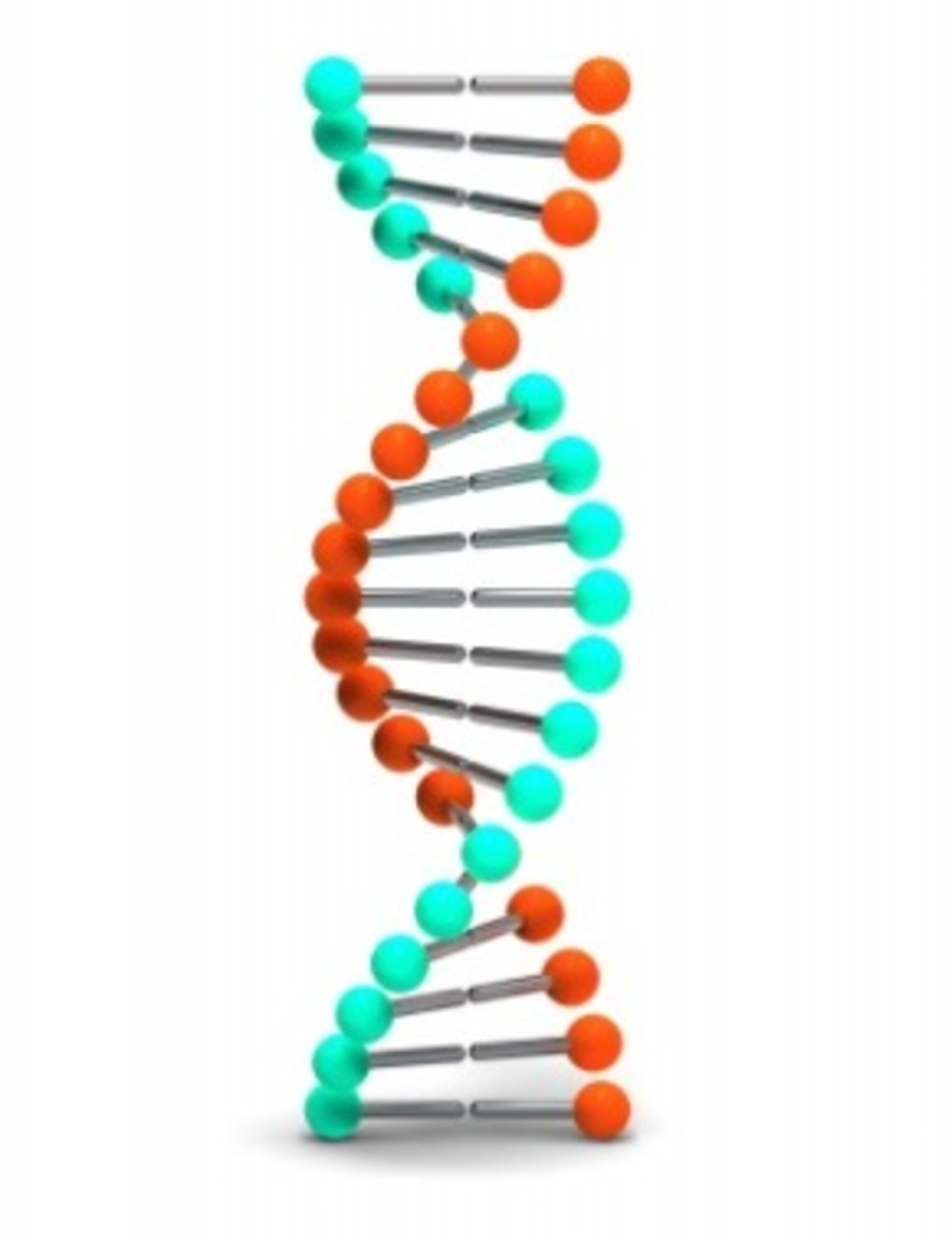 Dnastrand 12055022 Smaller