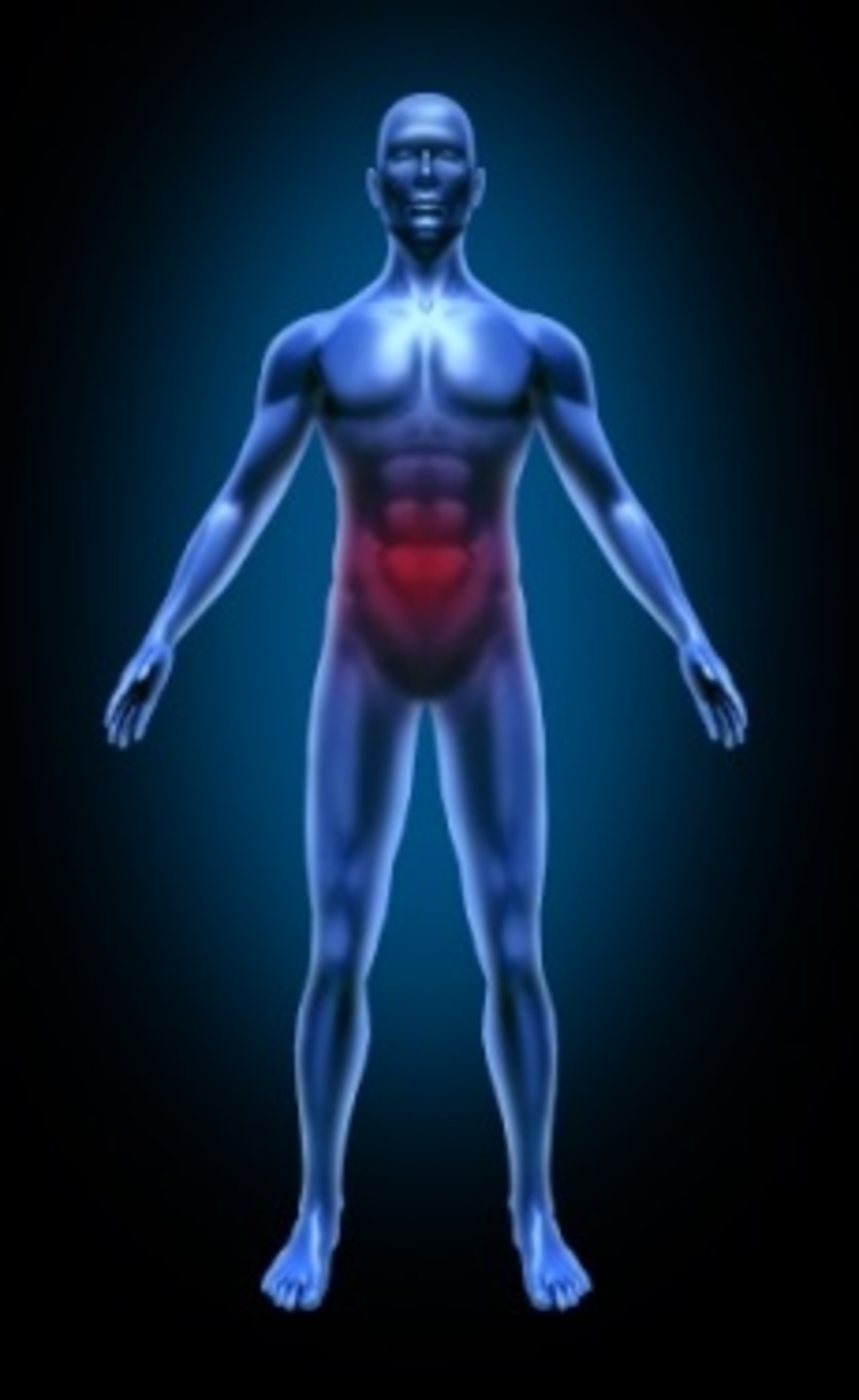 Humanbody 11570600 Smaller