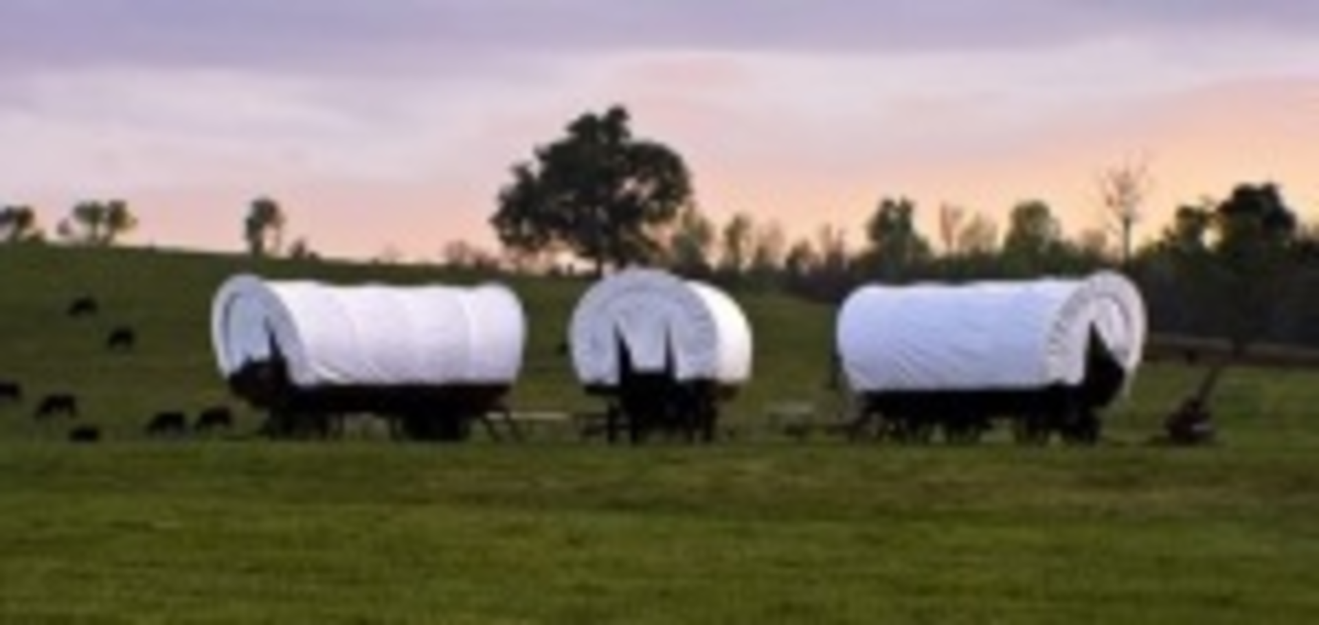 Conestogawagons 3018237 Smaller