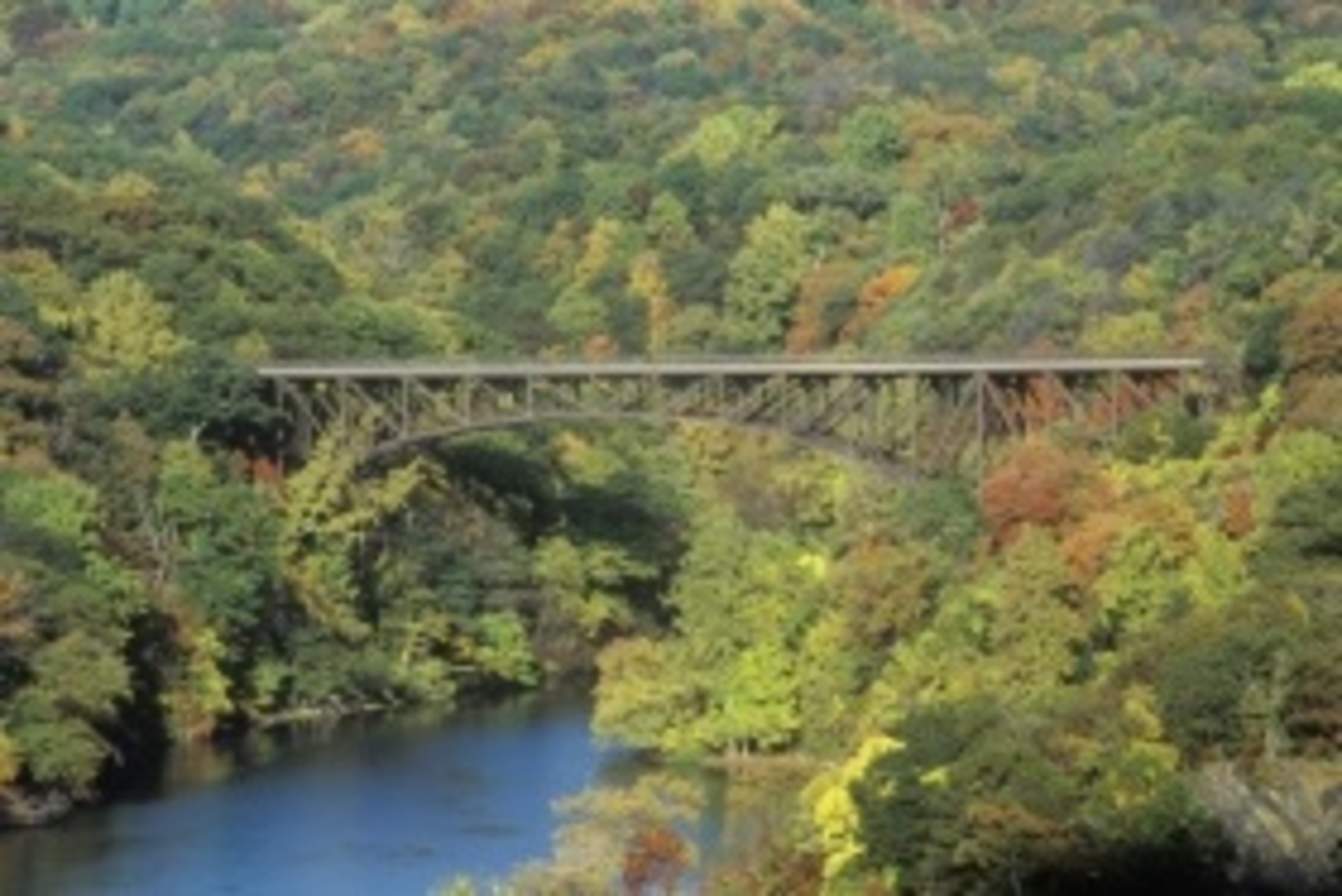 Bearmountainbridge 20476012 Smaller