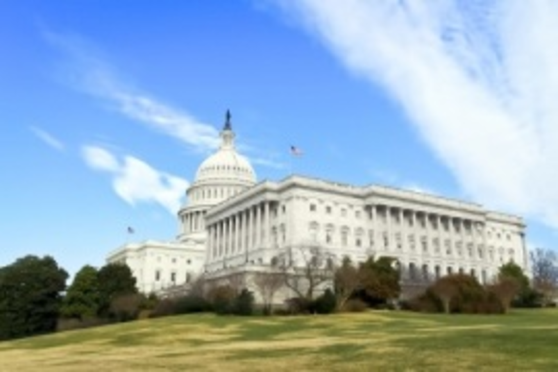 Capitol Side 11640119 Smaller